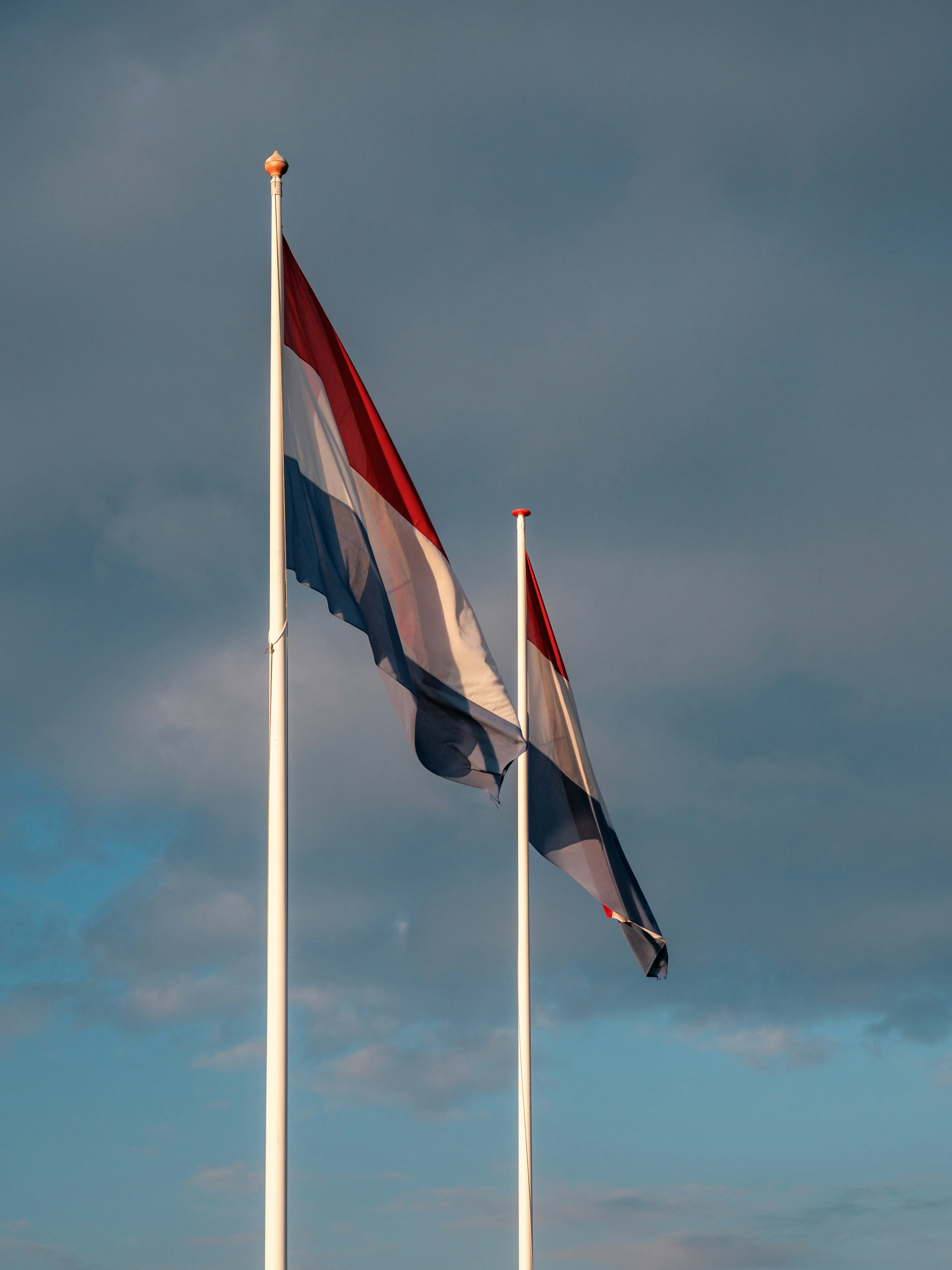Nederlandse vlag